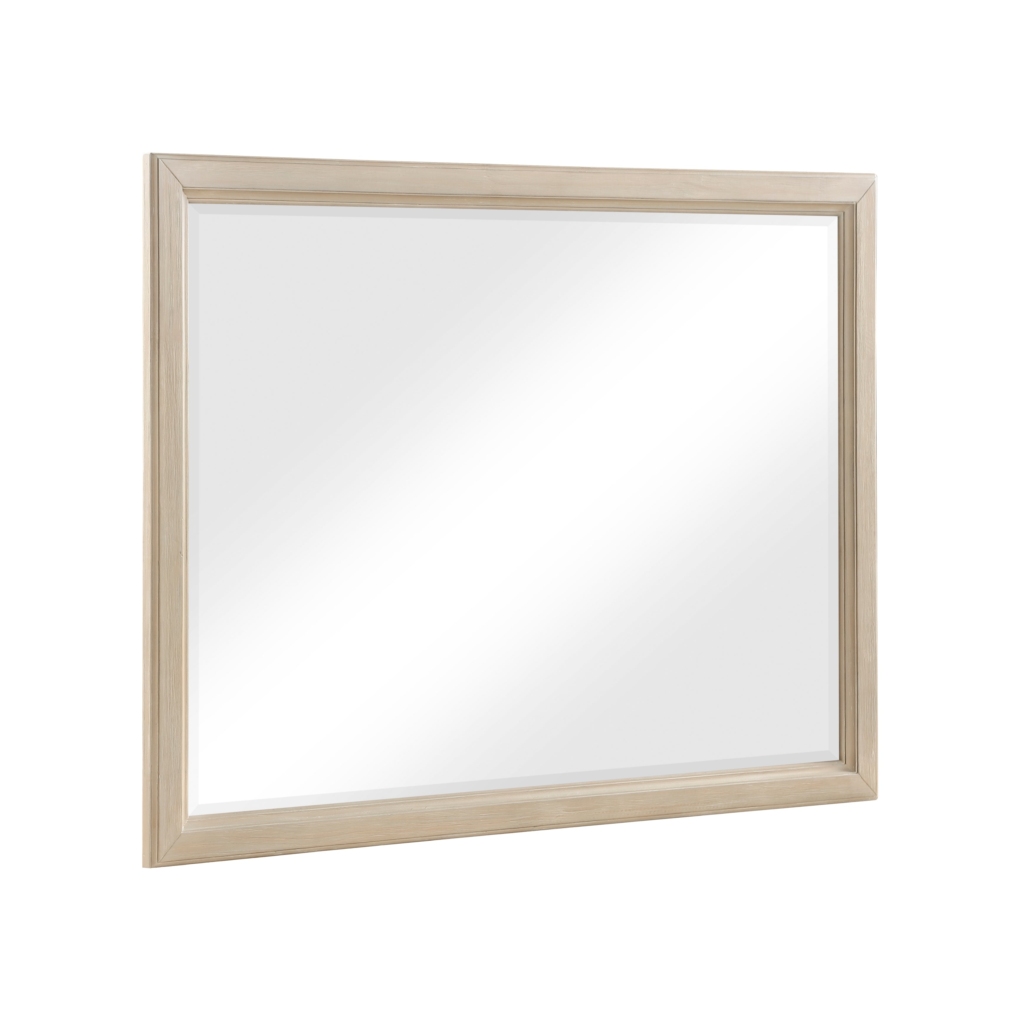 1730NB-6 Mirror - 1730NB-6