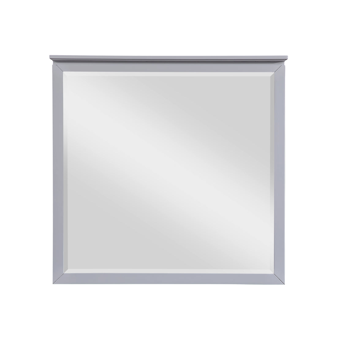 B2024GY-6 Mirror - B2024GY-6