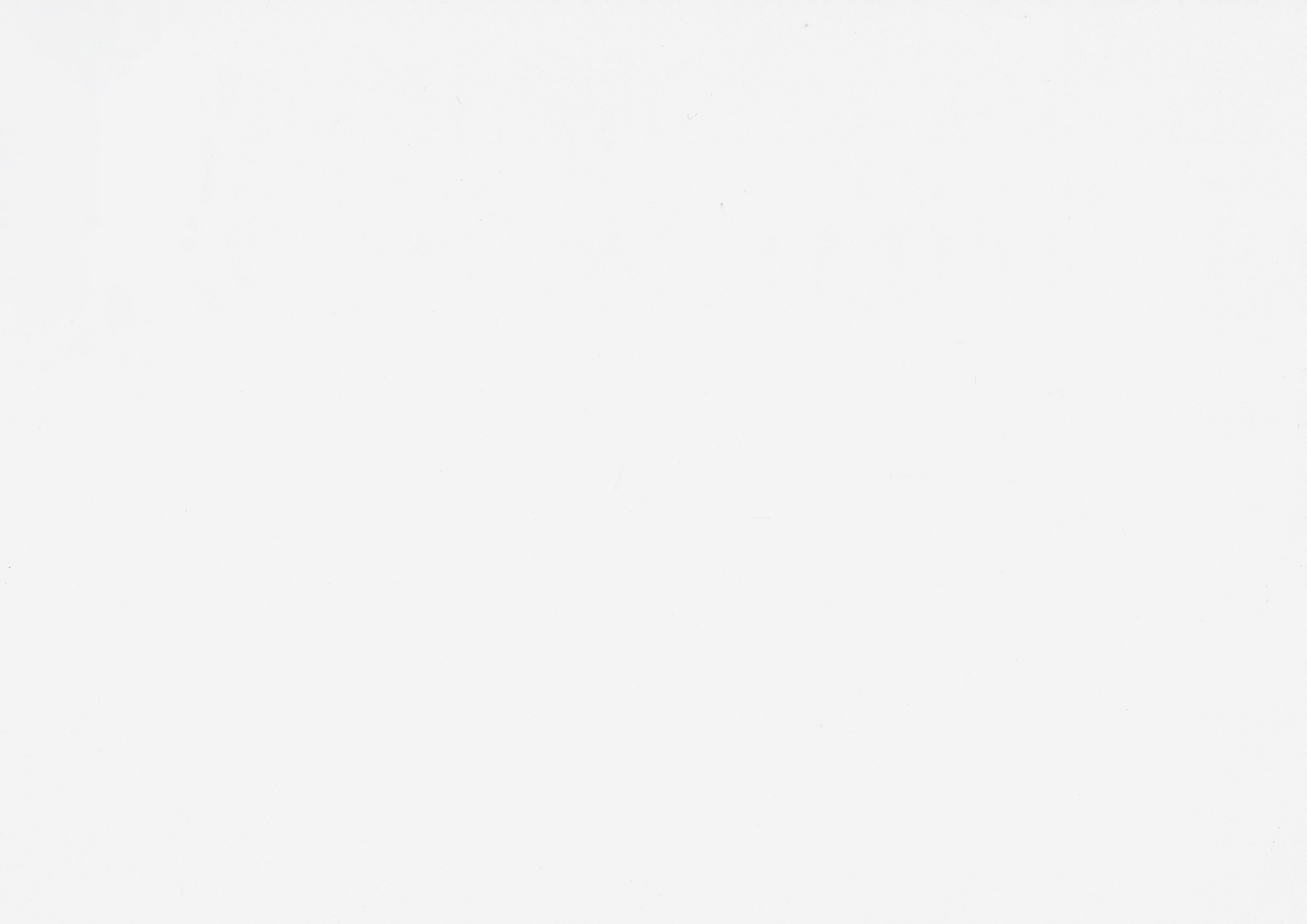 B2024WHCP-1 Twin Canopy Platform Bed - B2024WHCP-1