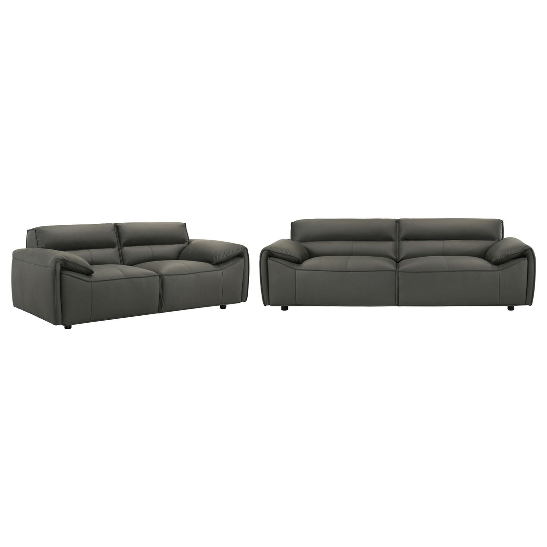 Buxton 2-piece Leather Upholstered Sofa Set Graphite - 509504-S2