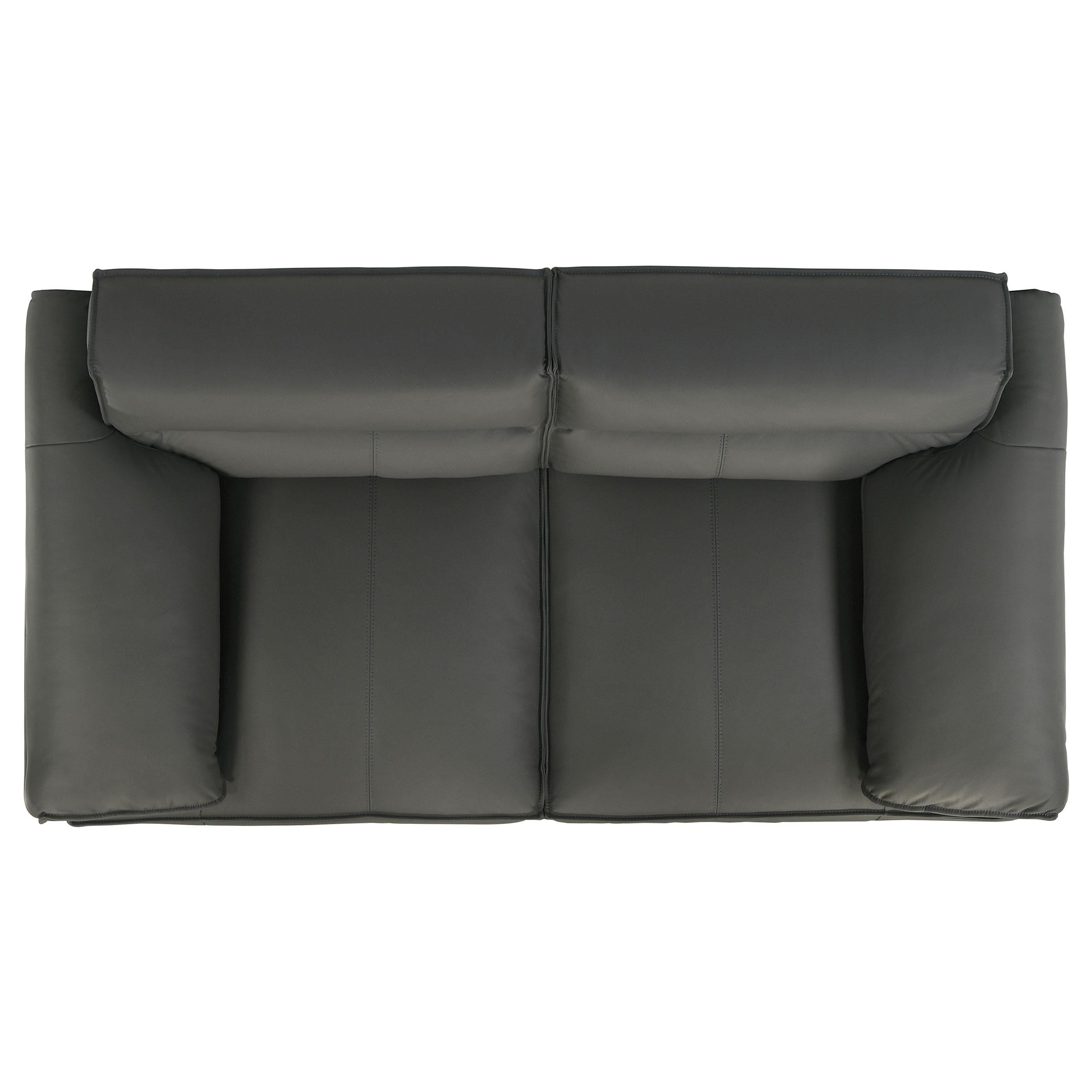 Buxton Top Grain Leather Upholstered Loveseat Graphite - 509505