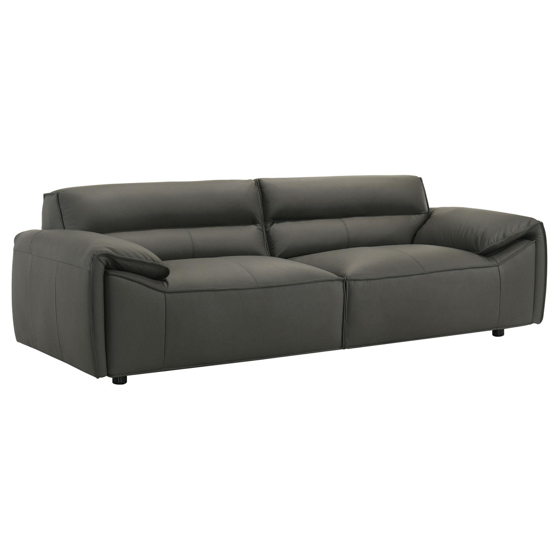 Buxton Top Grain Leather Upholstered Sofa Graphite - 509504
