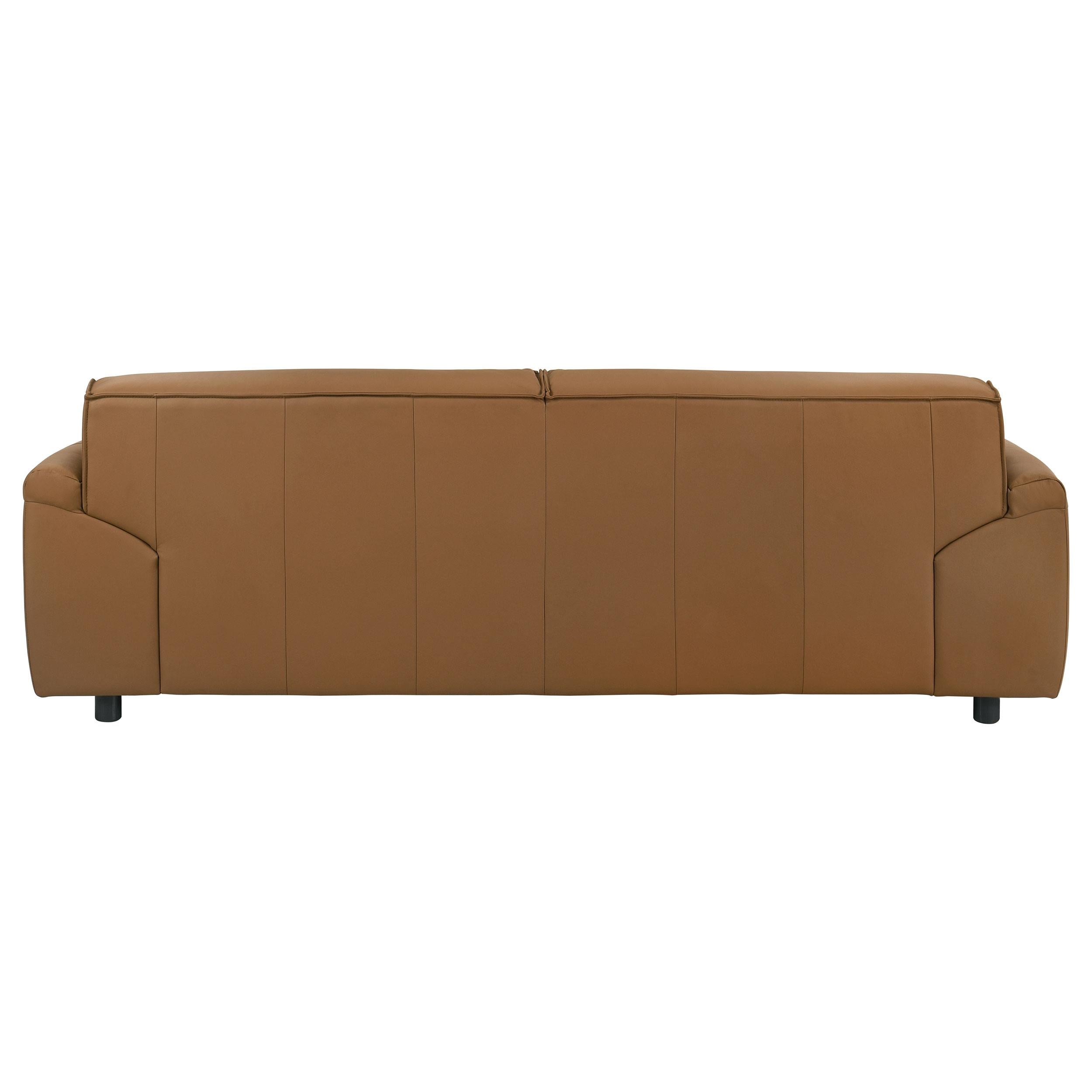 Buxton Top Grain Leather Upholstered Sofa Orange - 509501