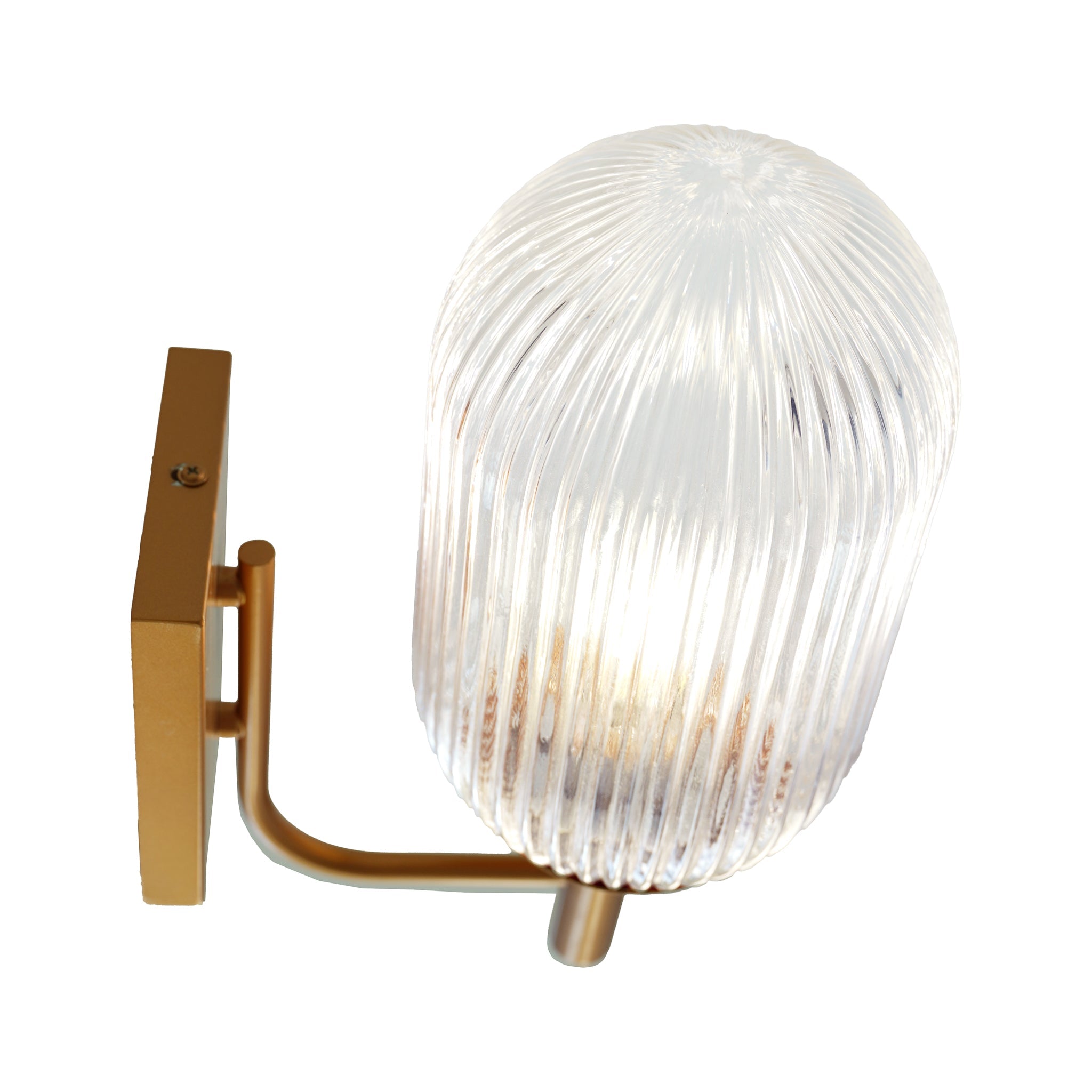 Dewdrop Wall Lamp - Bronze and Clear - WLL04101501