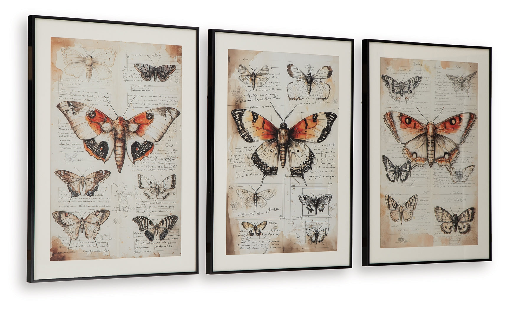 Jossletts Orange/Black/Ivory Wall Art (Set of 3) - A8000490