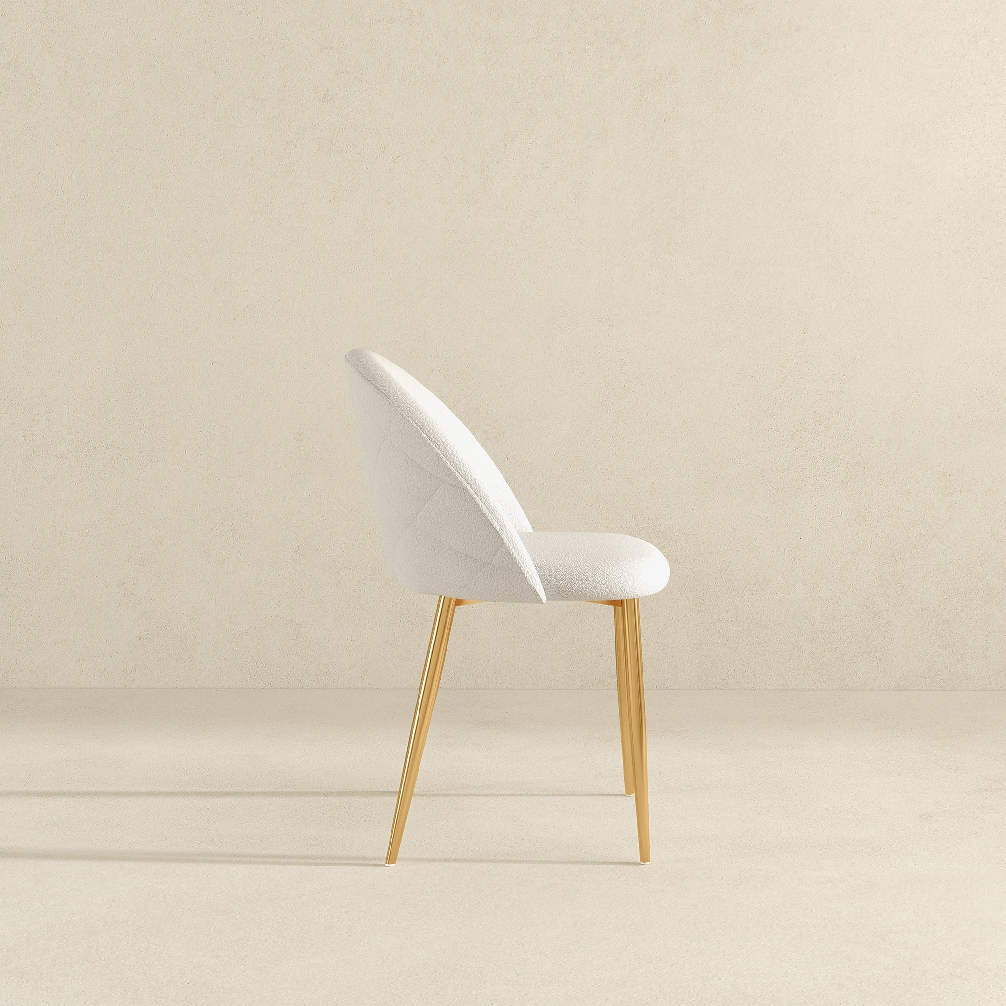 Marion Mid Century Modern Dining Chair (Set Of 2) - DCH02702101