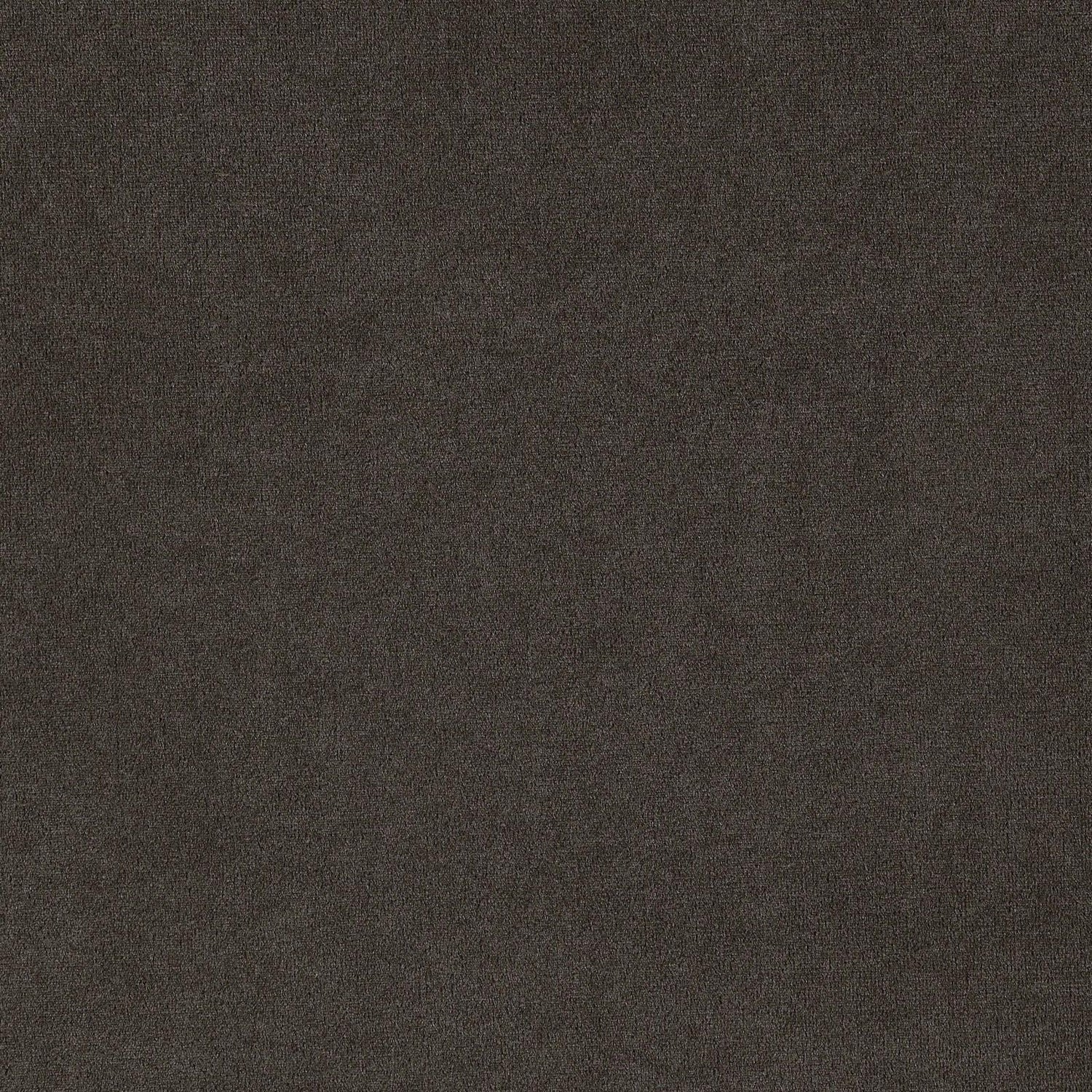 Alana Upholstered Tufted Side Chairs with Nailhead Trim, Set of 2 - 115172 - Bien Home Furniture & Electronics