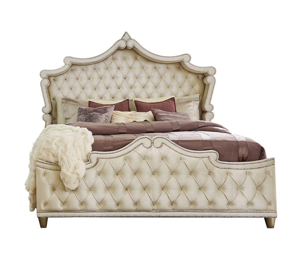 Antonella Upholstered Tufted Bedroom Set Ivory/Camel - 223521KE-S4 - Bien Home Furniture & Electronics