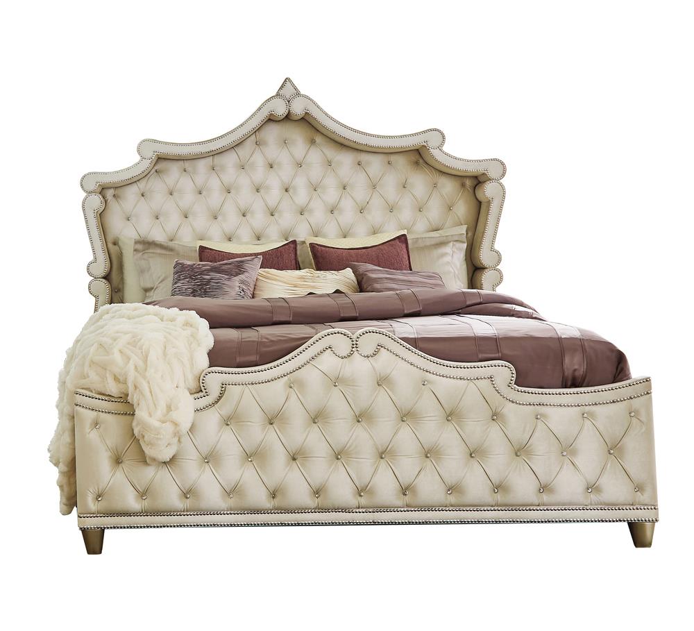 Antonella Upholstered Tufted Eastern King Bed Ivory/Camel - 223521KE - Bien Home Furniture & Electronics