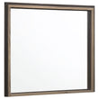 Baker Brown/Light Taupe Rectangular Dresser Mirror - 224464 - Bien Home Furniture & Electronics