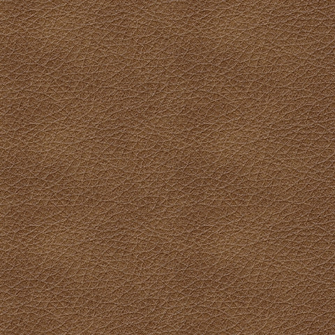 Bolsena Caramel Sofa - 5560338 - Bien Home Furniture & Electronics