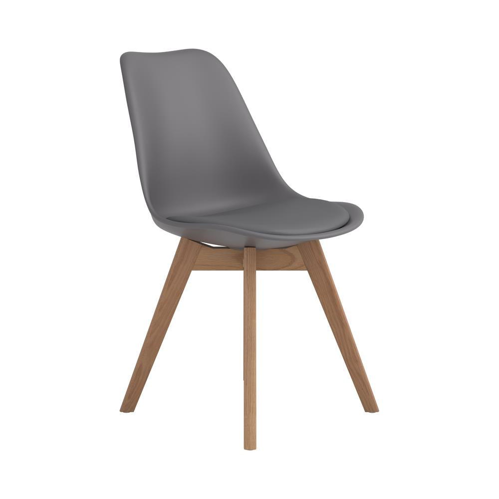 Caballo Gray Upholstered Side Chairs, Set of 2 - 110132 - Bien Home Furniture & Electronics