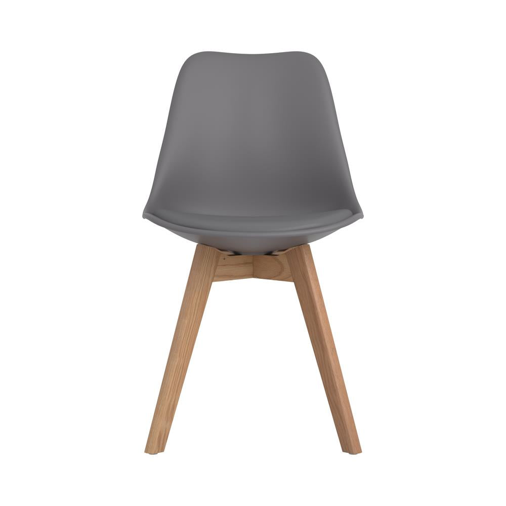 Caballo Gray Upholstered Side Chairs, Set of 2 - 110132 - Bien Home Furniture & Electronics