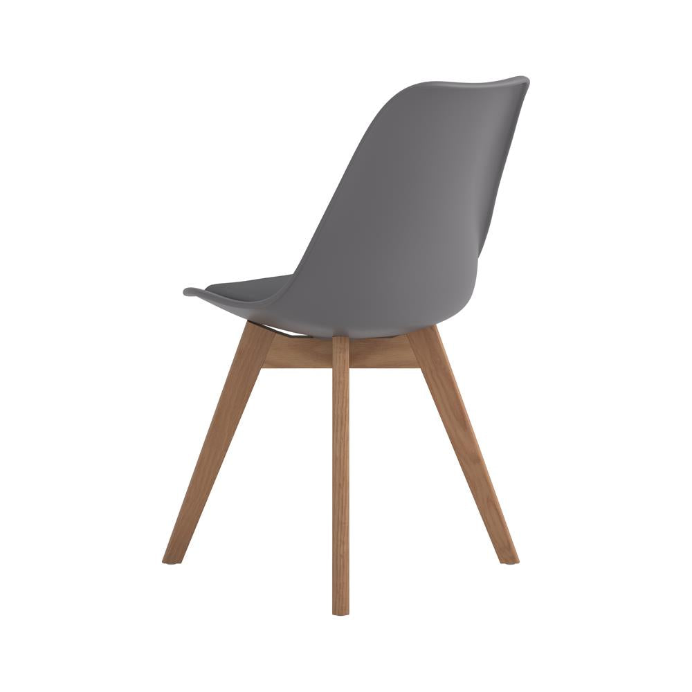 Caballo Gray Upholstered Side Chairs, Set of 2 - 110132 - Bien Home Furniture & Electronics
