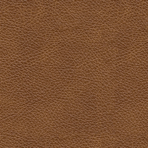 Carianna Caramel Loveseat - 5760435 - Bien Home Furniture & Electronics