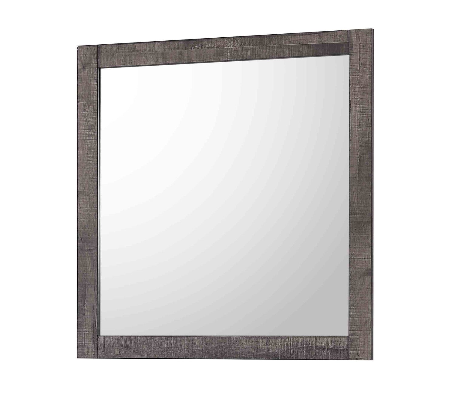 Coralee Gray Bedroom Mirror (Mirror Only) - B8100-11 - Bien Home Furniture & Electronics