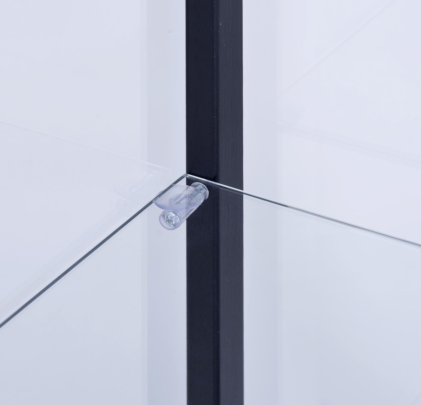 Delphinium Black/Clear 5-Shelf Glass Curio Cabinet - 950170 - Bien Home Furniture & Electronics