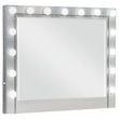 Eleanor Metallic Rectangular Mirror with Light - 223464 - Bien Home Furniture & Electronics