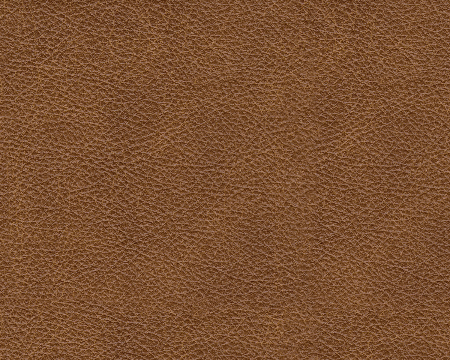 Emilia Caramel Leather 3-Piece Sofa - SET | 3090164 | 3090165 | 3090146 - Bien Home Furniture & Electronics
