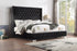 Franco Black Velvet Queen Upholstered Bed - SET | SH228BLK-1 | SH228BLK-3 - Bien Home Furniture & Electronics