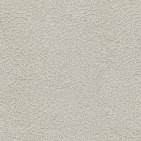 Genoa Coconut Queen Sofa Sleeper - 4770439 - Bien Home Furniture & Electronics