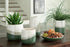 Gentset Green/Cream Accessory Set, Set of 5 - A2C00204 - Bien Home Furniture & Electronics