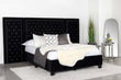 Hailey Upholstered Platform California King Bed with Wall Panel Black - 315925KW-SP - Bien Home Furniture & Electronics