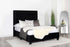 Hailey Upholstered Tufted Platform Queen Bed Black - 315925Q - Bien Home Furniture & Electronics