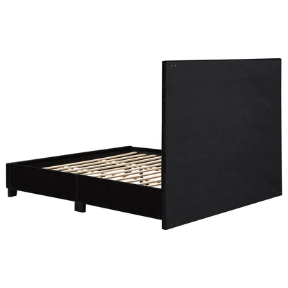 Hailey Upholstered Tufted Platform Queen Bed Black - 315925Q - Bien Home Furniture &amp; Electronics