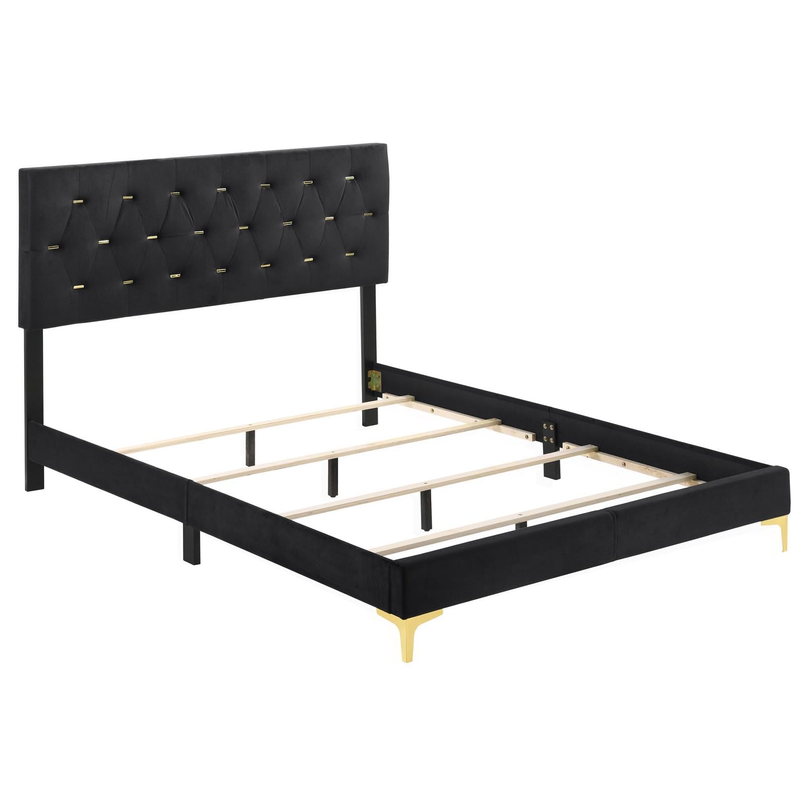 Kendall Tufted Panel Queen Bed Black/Gold - 224451Q - Bien Home Furniture & Electronics