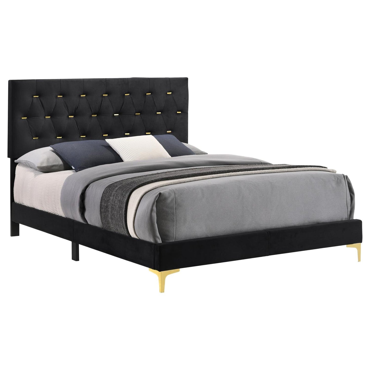 Kendall Tufted Panel Queen Bed Black/Gold - 224451Q - Bien Home Furniture & Electronics