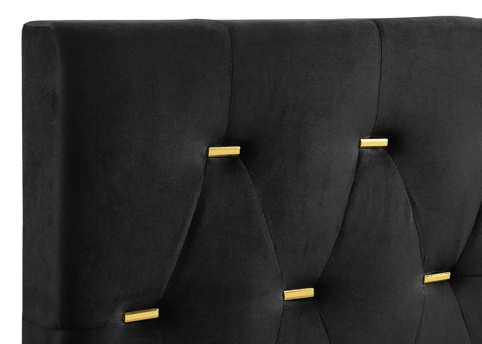 Kendall Tufted Panel Queen Bed Black/Gold - 224451Q - Bien Home Furniture &amp; Electronics
