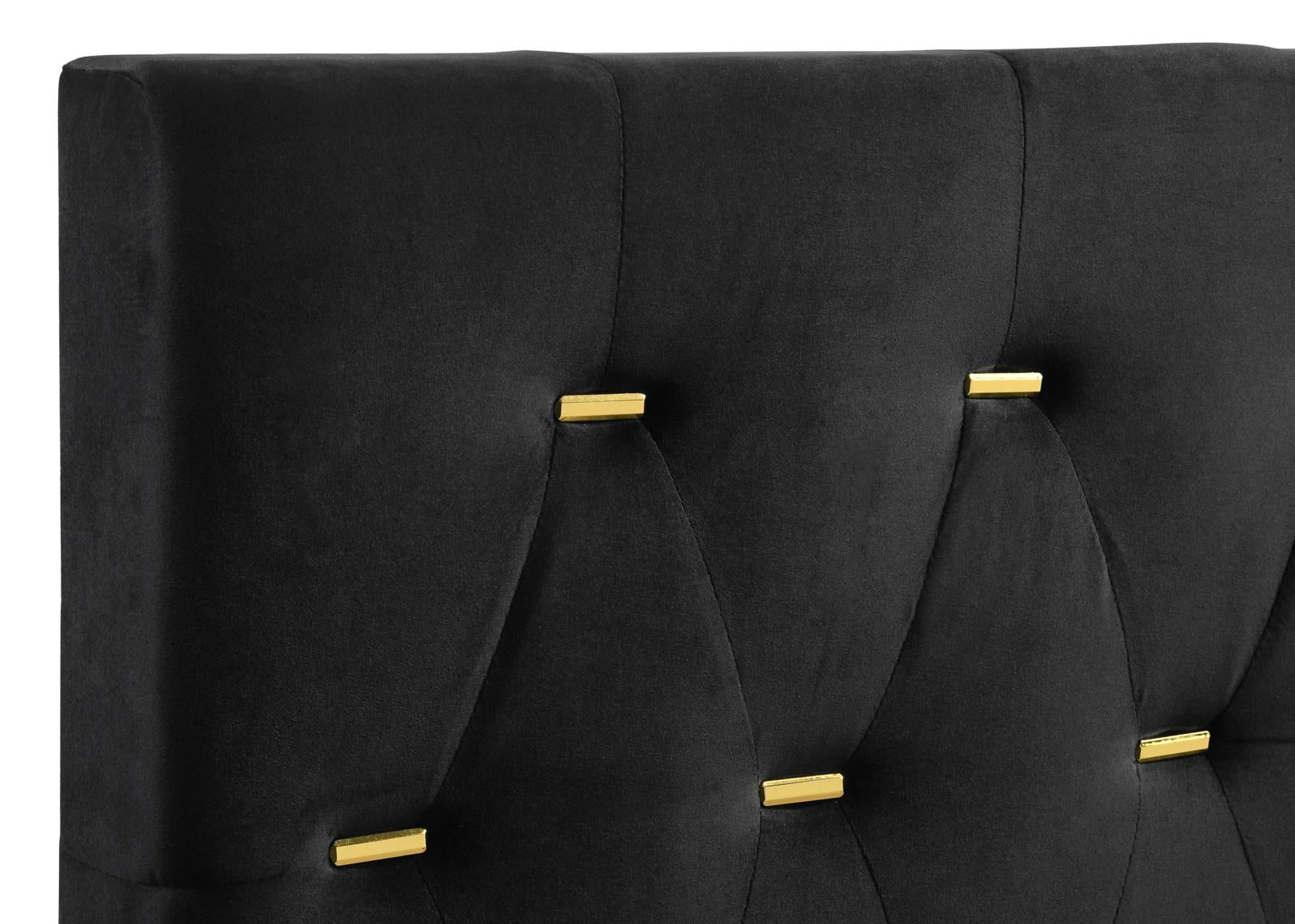 Kendall Tufted Panel Queen Bed Black/Gold - 224451Q - Bien Home Furniture & Electronics