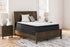 Limited Edition PT White Queen Mattress - M41231 - Bien Home Furniture & Electronics