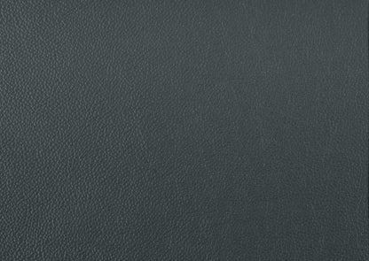 Mischa Dark Gray Top-Grain Leather Sofa - 9514DGY-3 - Bien Home Furniture &amp; Electronics