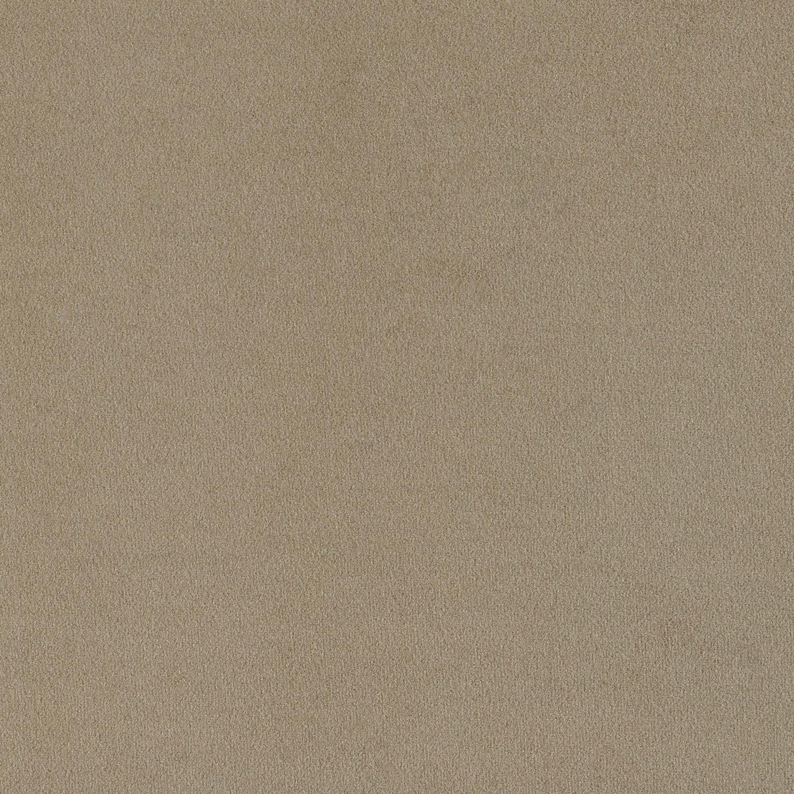 Rainn 2-Piece Upholstered Tight Back Living Room Set Latte - 509171-S2 - Bien Home Furniture & Electronics