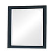 Sandy Beach Black Vertical Dresser Mirror - 201324 - Bien Home Furniture & Electronics