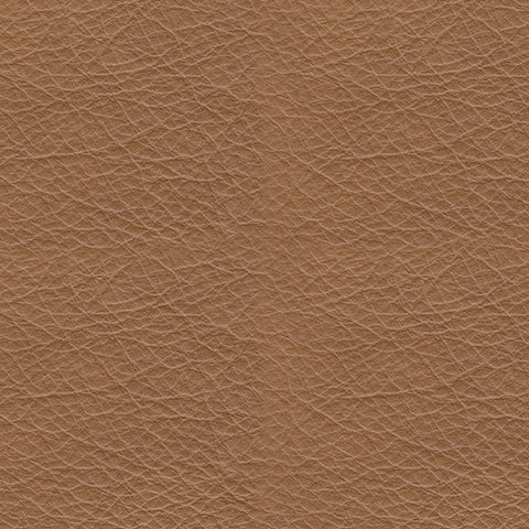 Tryanny Butterscotch Power Reclining Sofa - U9370415 - Bien Home Furniture & Electronics