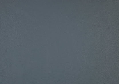 1010BUE-1 Accent Chair - 1010BUE-1