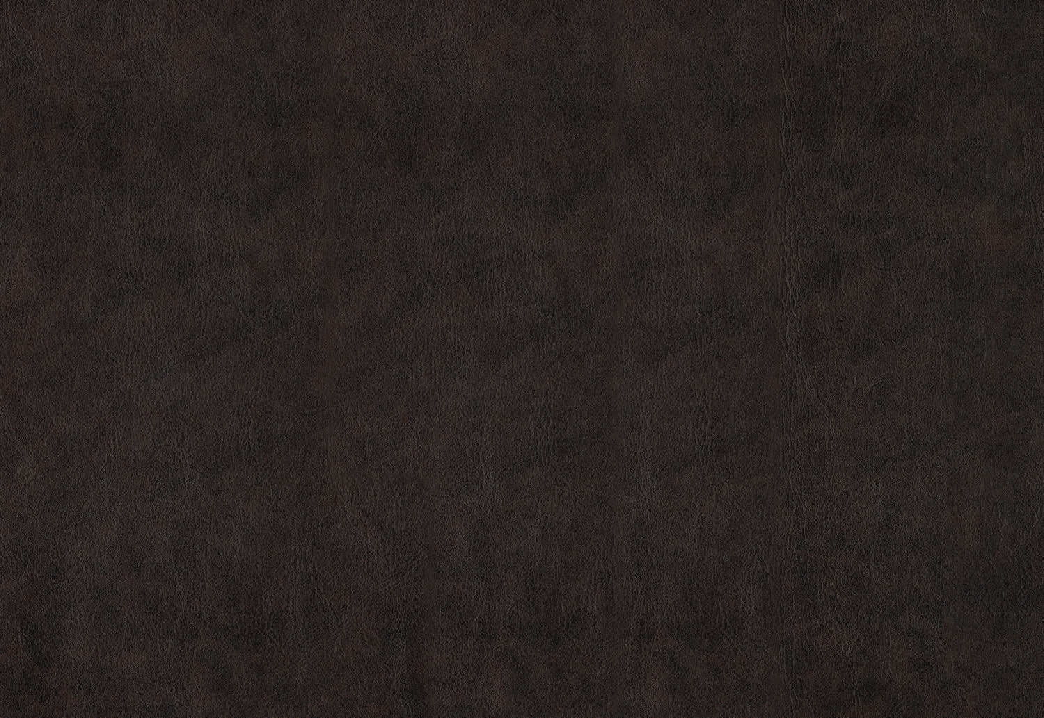 1085F2S Accent Chair - 1085F2S