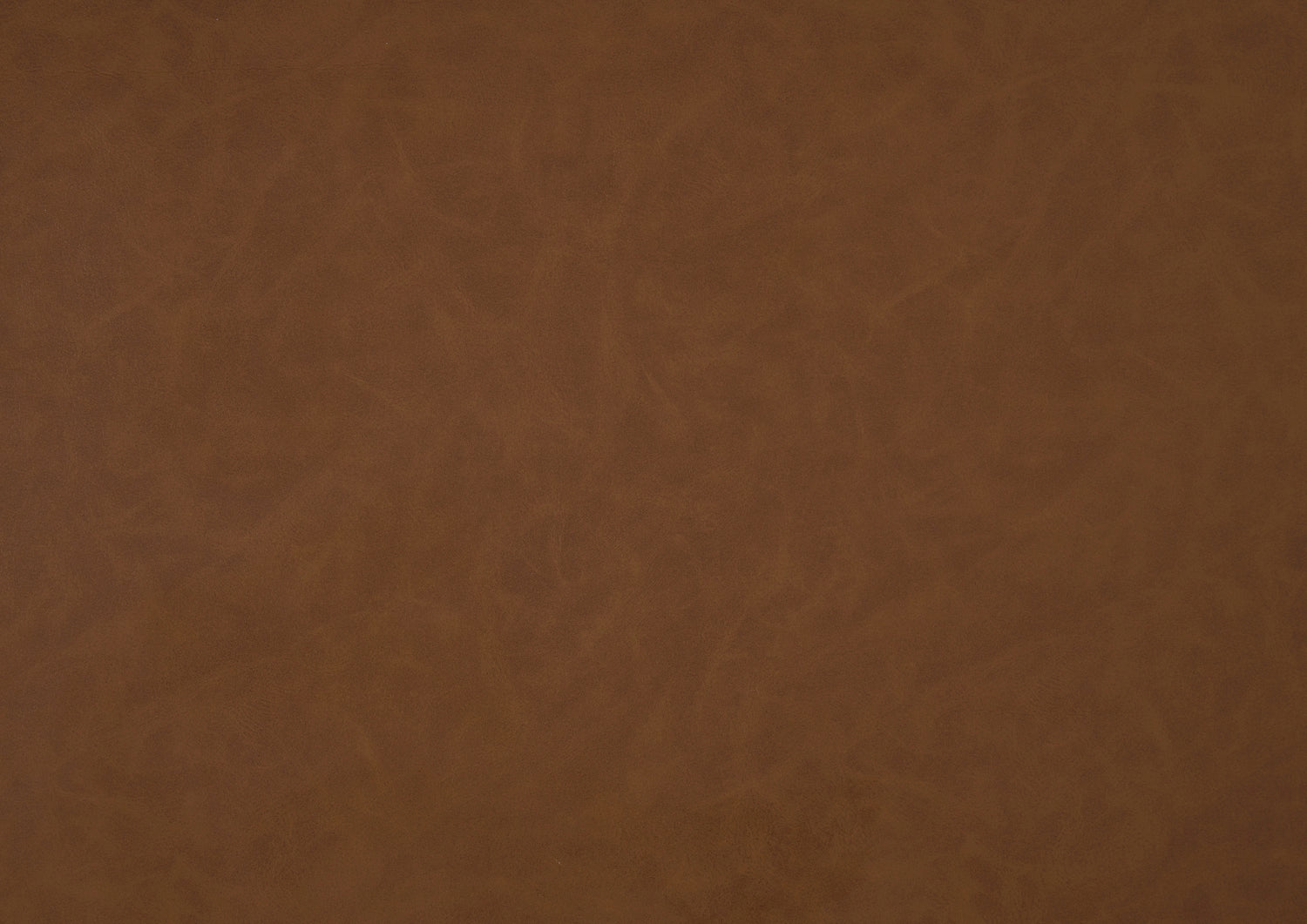 1123CAM-1 Swivel Chair - 1123CAM-1