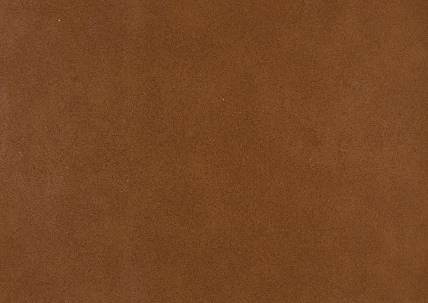 1138NABRPU-1 Accent Chair - 1138NABRPU-1