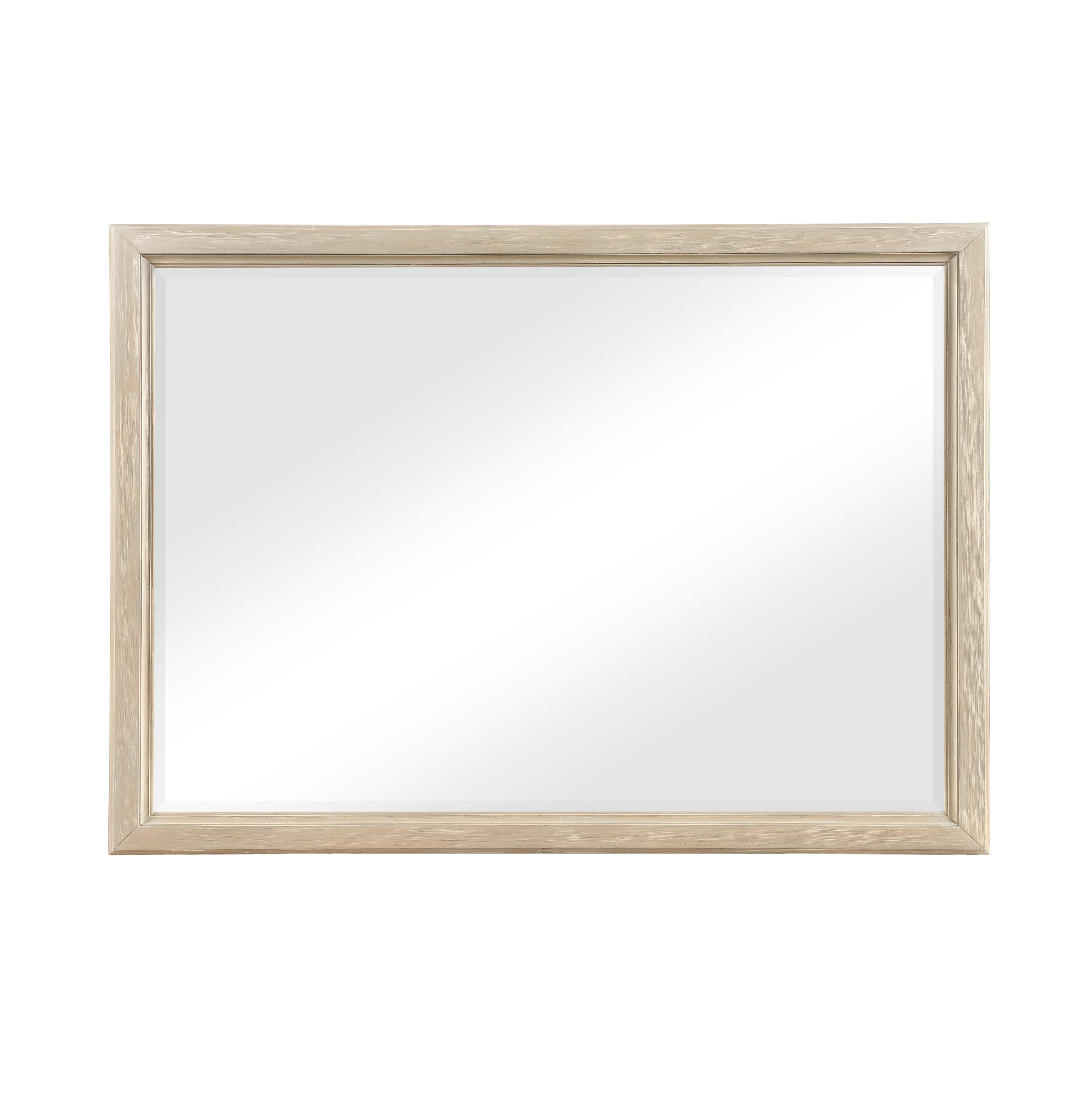 1730NB-6 Mirror - 1730NB-6