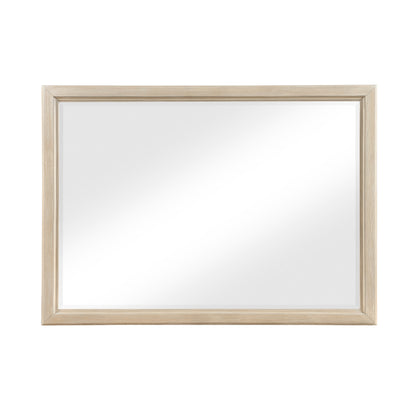 1730NB-6 Mirror - 1730NB-6