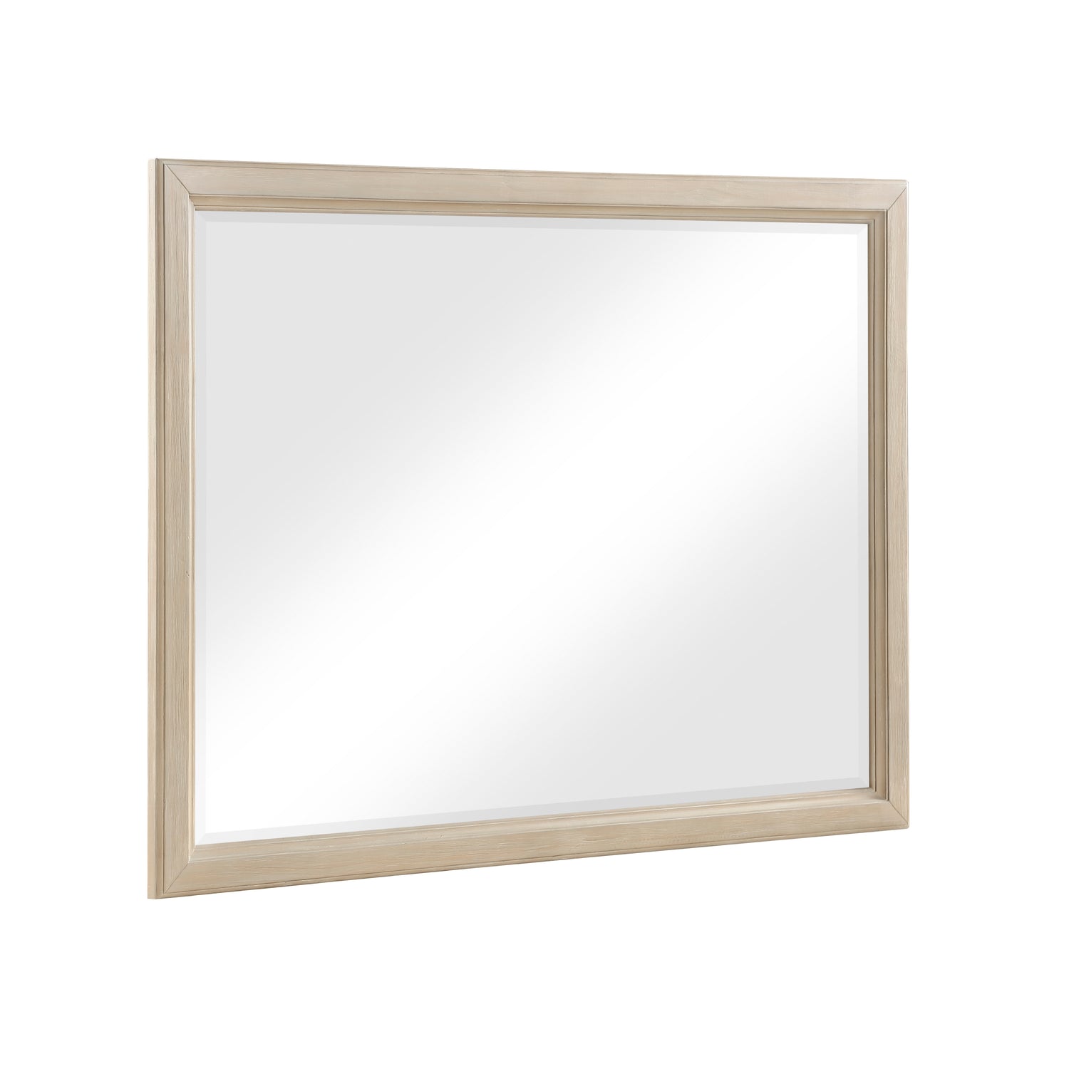 1730NB-6 Mirror - 1730NB-6