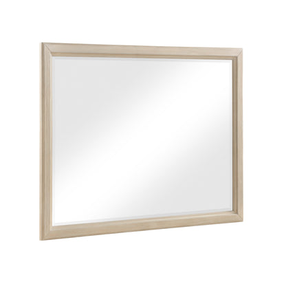 1730NB-6 Mirror - 1730NB-6
