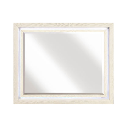 2391-1*4 4pc Set (QB+NS+DR+MR) - 2391-1*4