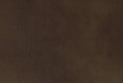 Ellicott Brown Leather Double Reclining Living Room Set from Homelegance - Luna Furniture