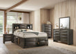 Zosimo Gray Transitional Storage Youth Bedroom Set