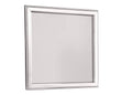 Omni Mirror (Mirror Only)